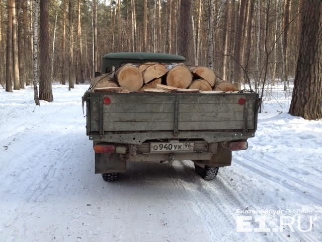 Академический район Екатеринбург У озера «Чемоданчик» вырубают деревья