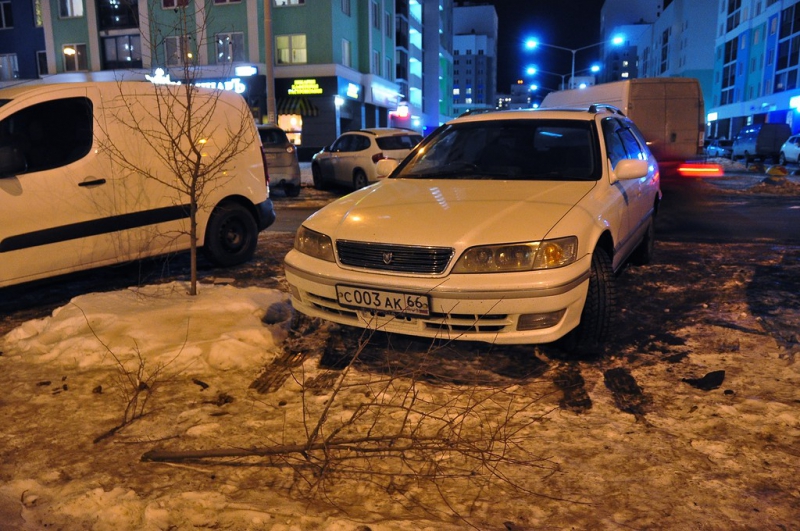 Академический район Екатеринбург Я паркуюсь как олень. Январь - март 2015
