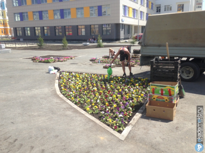 Академический район Екатеринбург В этом году цветов стало больше