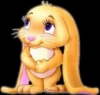 Аватар пользователя Rabbit