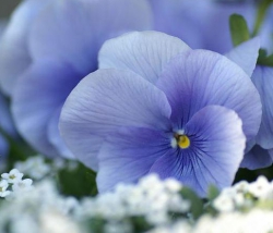 Фотография marina osipova