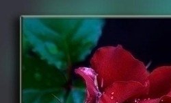 Фотография tigr74