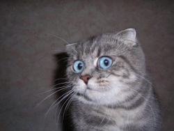 Фотография Zer