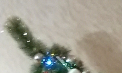 Фотография ru1421