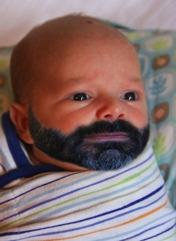 Фотография Никзанят