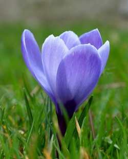 Фотография natalia367