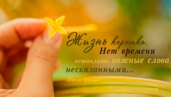 Фотография Femeli