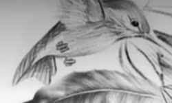 Фотография IrinaA_R