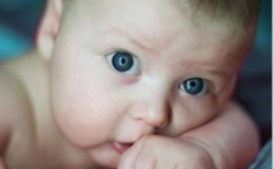 Фотография karrina