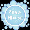 Организация «Pena House»