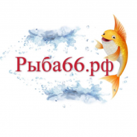 Рыба66.рф