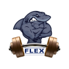 Обсуждение организации Flex