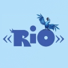 Обсуждение организации Рио