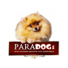 Обсуждение организации Paradogs