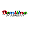 Организация «Domilina»