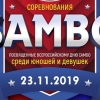 Академический отметит Всероссийский день самбо межрегиональным турниром
