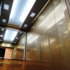 Для селфи по-богатому: «золотые» лифты появились в Академическом