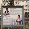 Учителя из Академического пополнили Аллею легенд образования