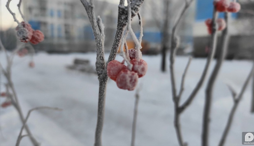 Сегодня стартует районный фотоконкурс!