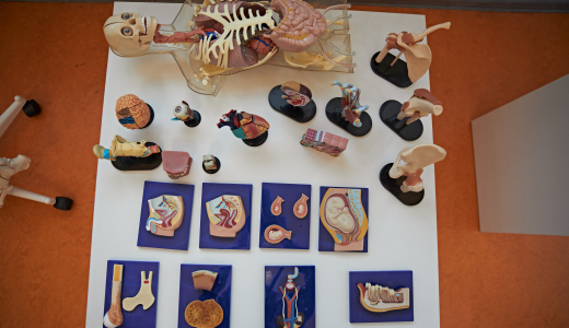 В Академическом открылся музей медицины и санитарии