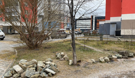 «Это опасно для детей»: на Краснолесья житель огородил камнями газон