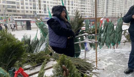 В Академическом открылись первые ёлочные базары