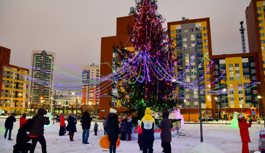 В Преображенском парке установят 20-метровый символ Нового года