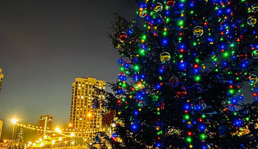 Фотоконкурс «Новогодний Академический» завершился победой четырёх участников!