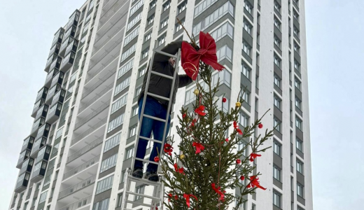 Приём заявок на конкурс «Самая красивая ель» продлён до 18 января