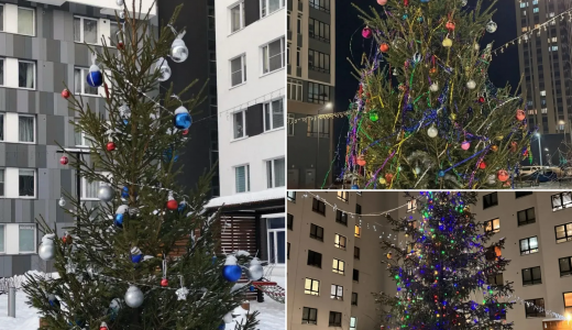 Идёт голосование за самую красивую дворовую ель