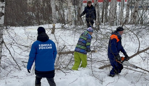 Городские власти и общественники очистили русло реки Широкая