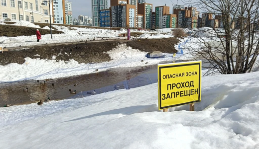 Выход запрещён! Пруд в Преображенском парке огородили сеткой