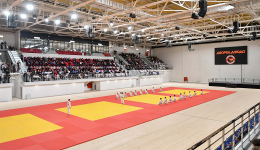 В Академическом пройдут всероссийские соревнования по дзюдо