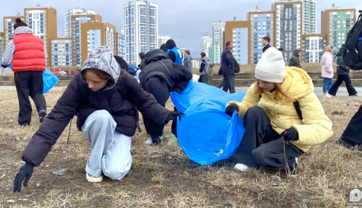 «Для каждого квартала будут свои задачи»: массовый субботник пройдёт 25 апреля