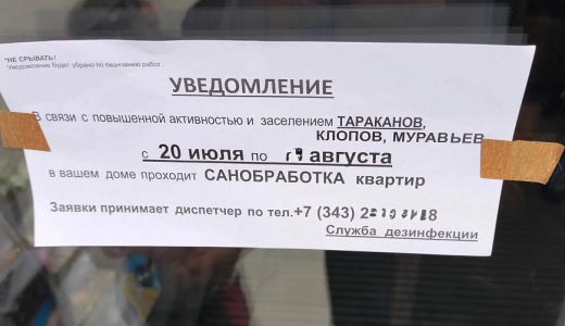 Академчан предупредили о фейковых объявлениях по обработке от насекомых
