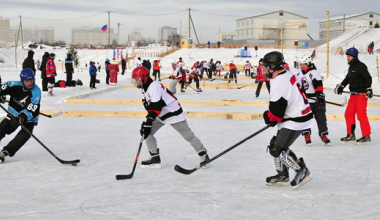 Рождественский турнир по дворовому хоккею прошёл в Преображенском парке