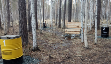 «Это самовольный захват земли»: в Юго-Западном лесопарке посреди берёз и сосен установили мангалы