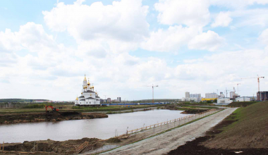 Для очистки пруда в Преображенском парке закупят 500 толстолобиков