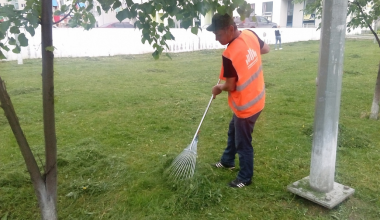 Наводят чистоту: газоны и дворы Академического стали чище