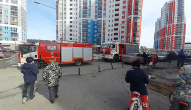 Устанавливается причина пожара в подъезде дома на Краснолесья