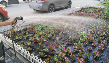 Утоляем жажду: УК «Академический» обильно поливает цветы и деревья