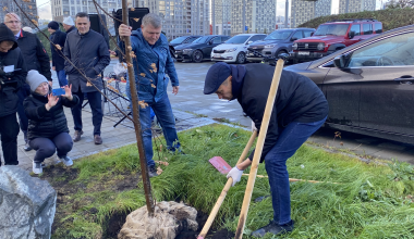 Возле Храма высадили аллею из 100 клёнов