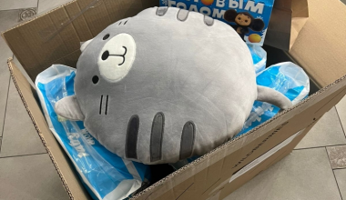 Сила добра: жителей приглашают поучаствовать в благотворительных акциях