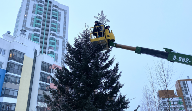 В Академическом началась установка праздничных елей