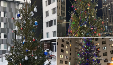 Идёт голосование за самую красивую дворовую ель