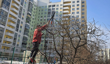 Весна идет: в Академическом началась санитарная обработка яблонь