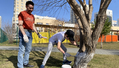 Где встречаемся? Расписание массового субботника в Академическом